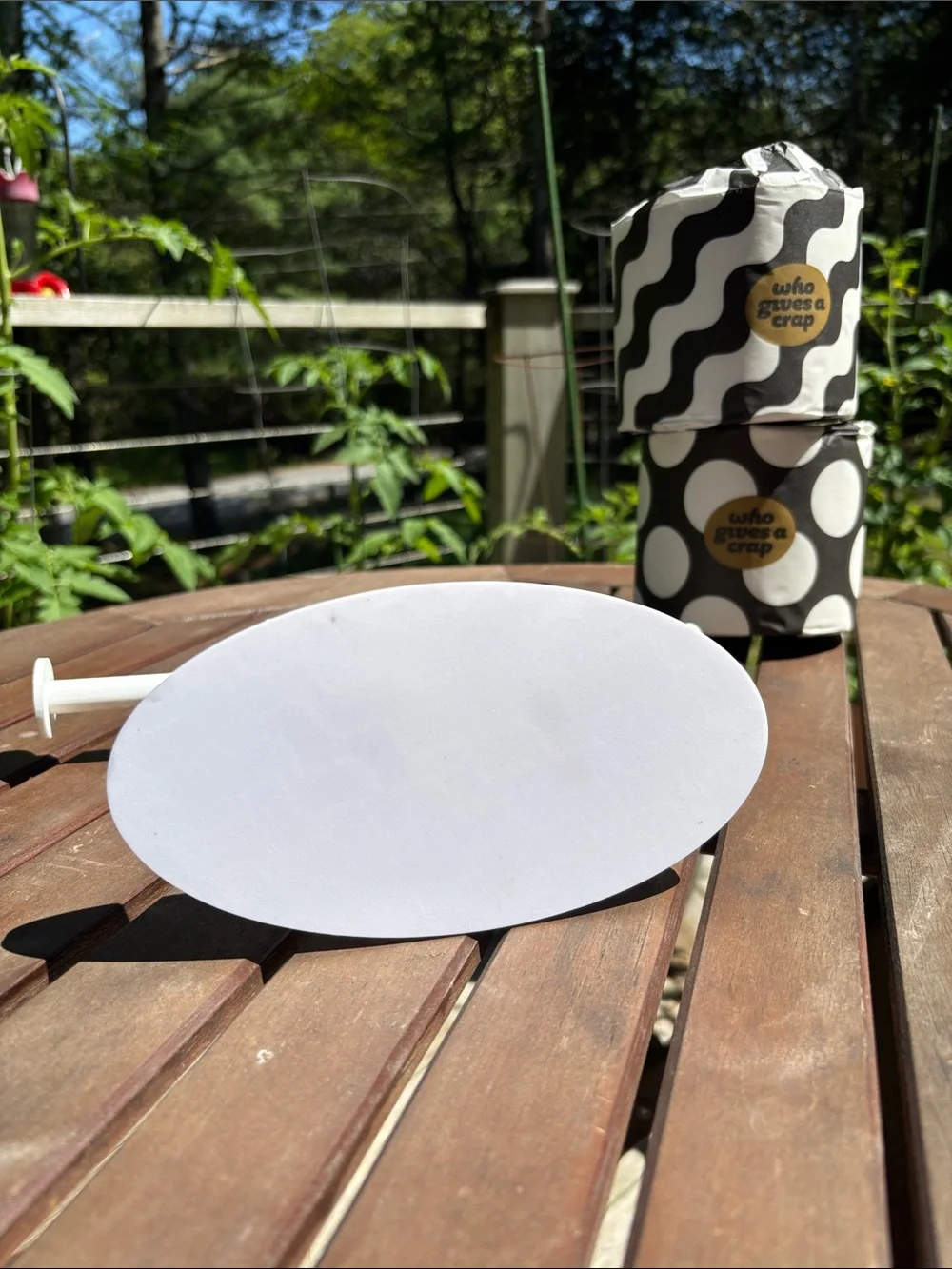 Plastic Weight-Lifter Toilet Paper Holder